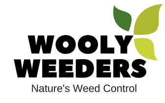 Wooly Weeders